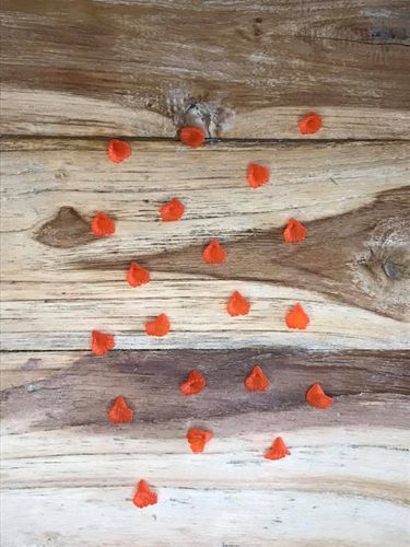 20 Dark Orange Small Fushia Beads