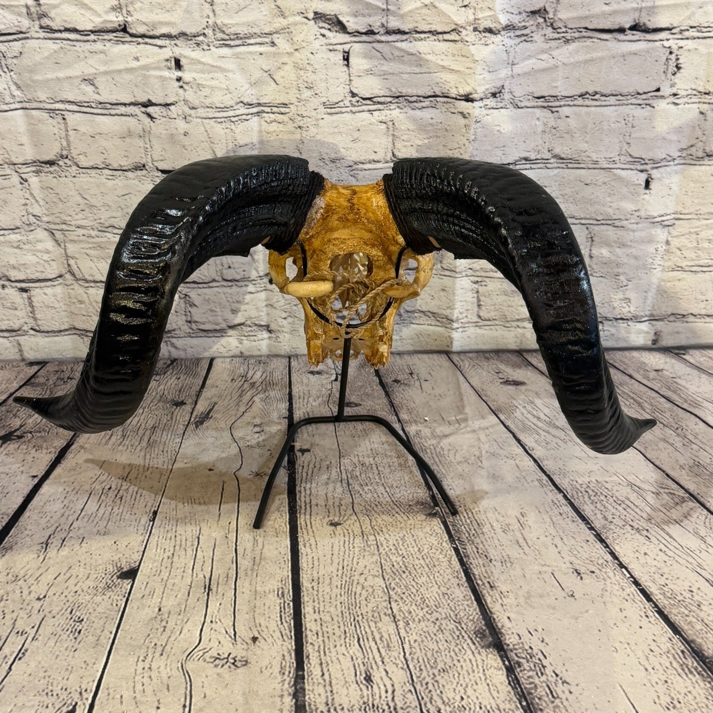 30cm Carved Buffalo Ram Wild Skulls Wall Hanging Carved With Stand Design 110