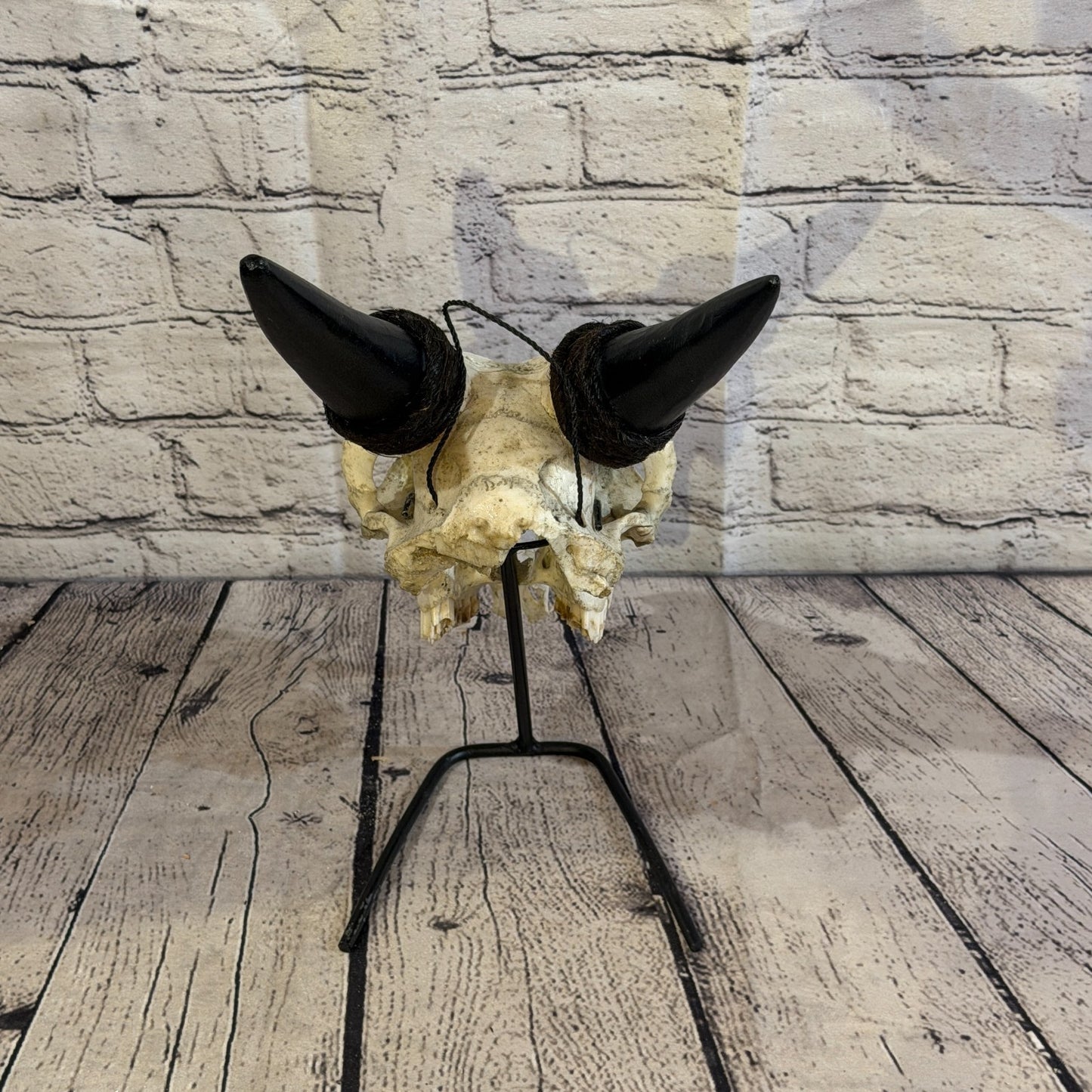 30cm Carved Buffalo Ram Wild Replica Skulls Wall Hanging Carved Stand Design 510