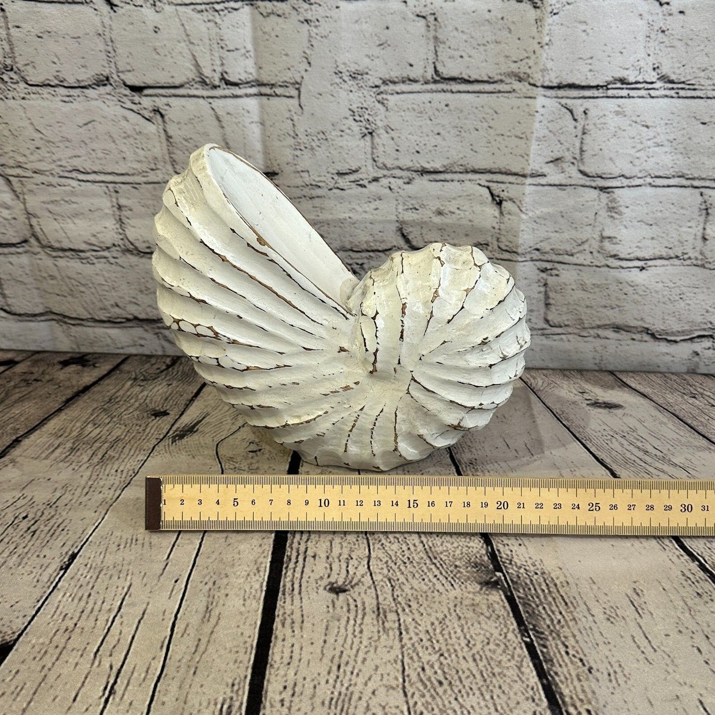 25cm White Polish Nautilus Shell Ornament Decor Carved Light Wood Parcel Figure