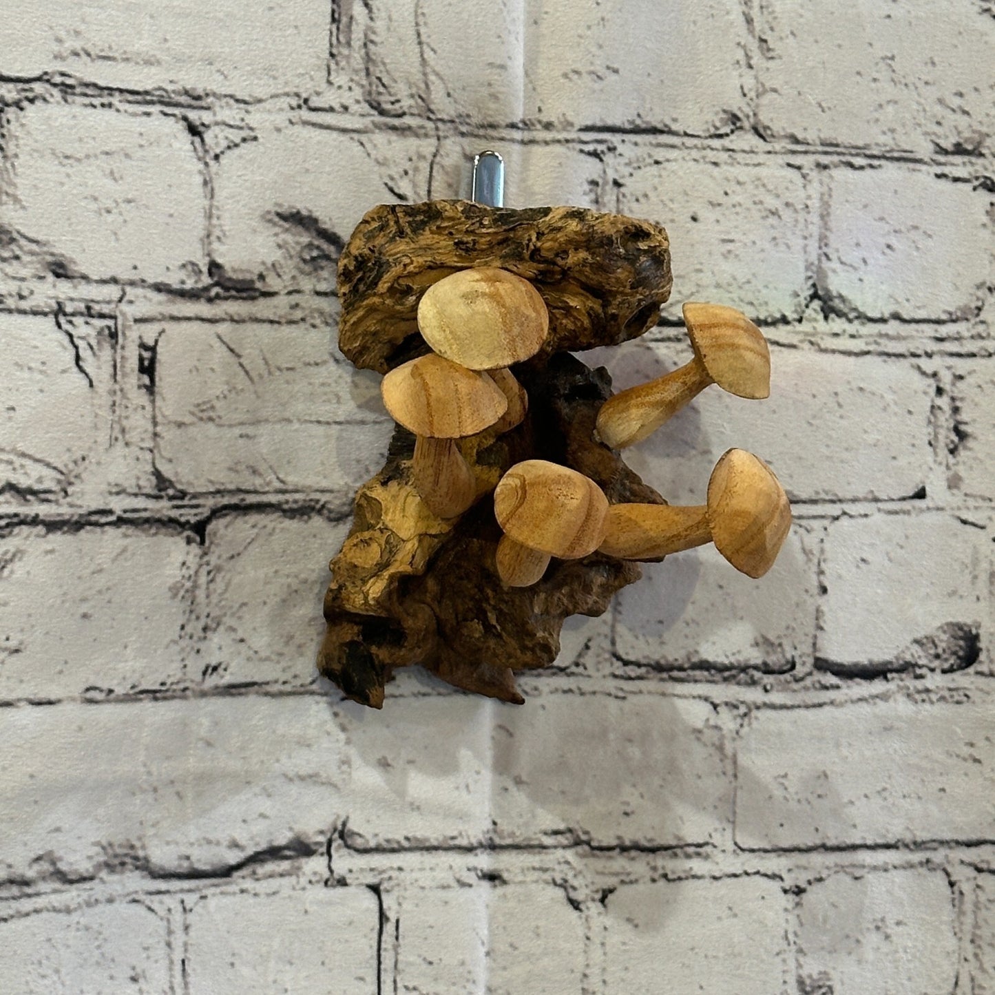 Button Mushrooms Wall Art Mushroom Parasite Wood Ornament Natural Carving Wooden