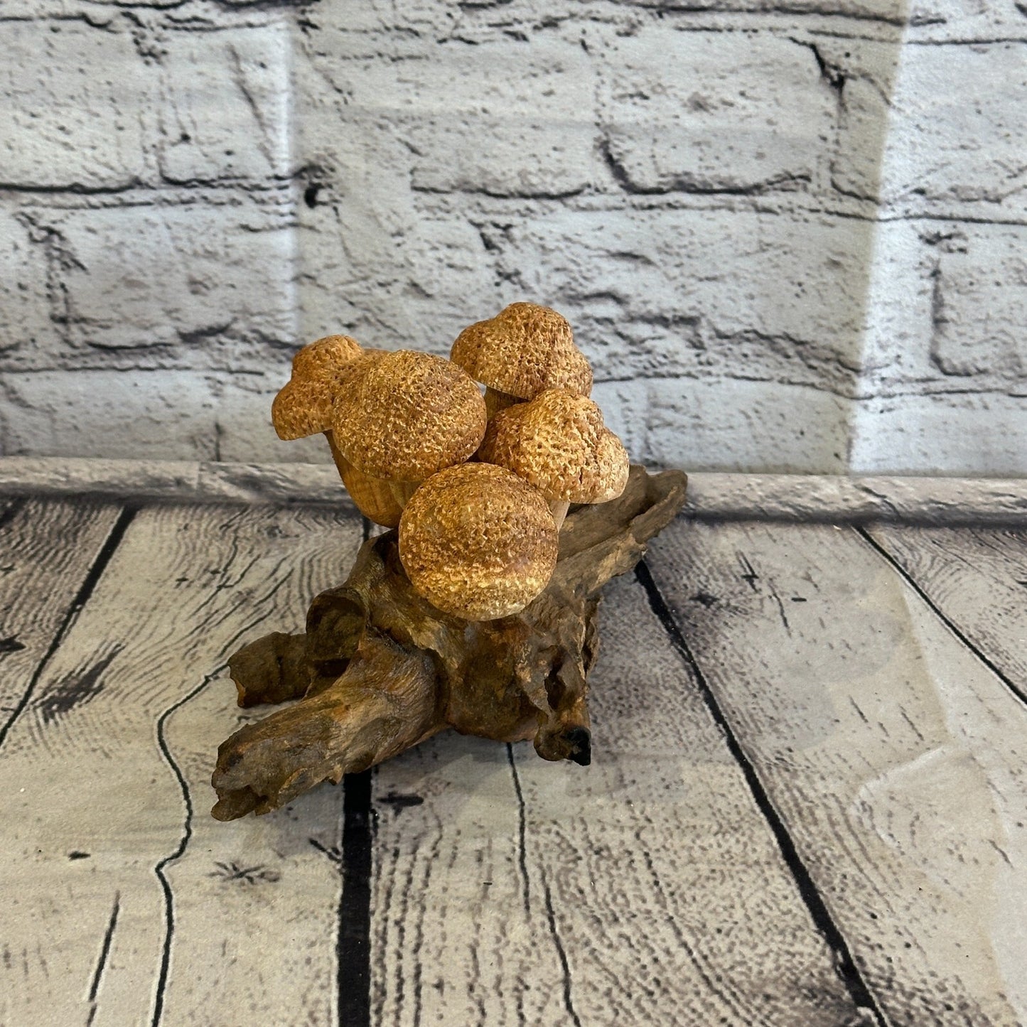 Five Dimple Mushrooms Parasite Ornament Natural Carving Fairtrade Wooden