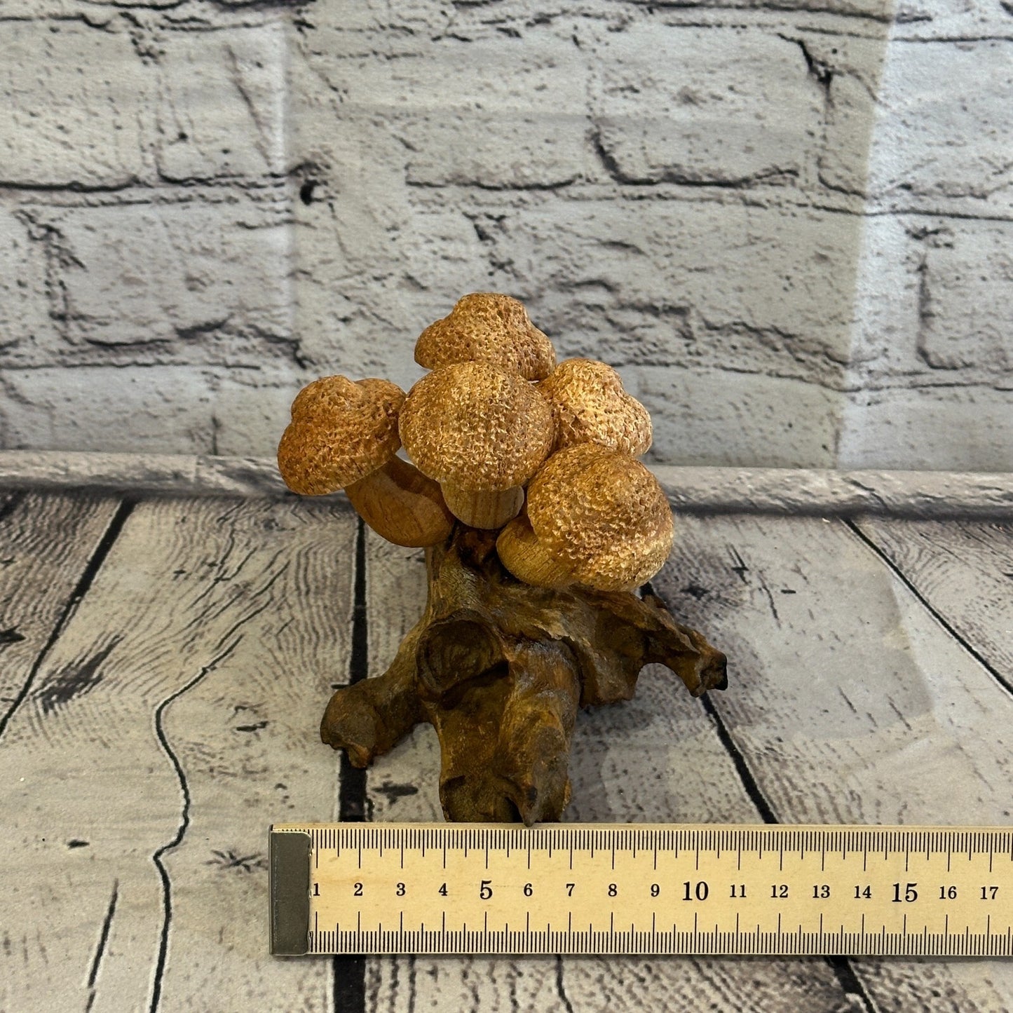 Five Dimple Mushrooms Parasite Ornament Natural Carving Fairtrade Wooden
