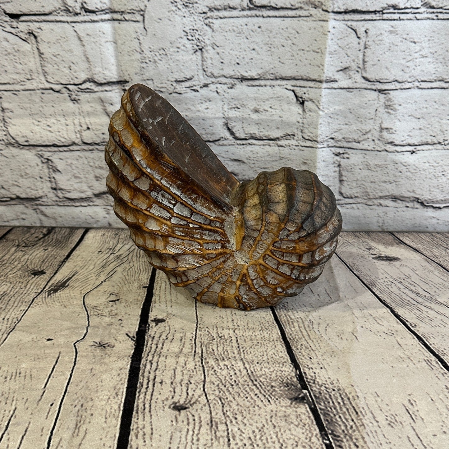 18cm Brown Polish Nautilus Shell Ornament Decor Carved Light Wood Parcel Figure