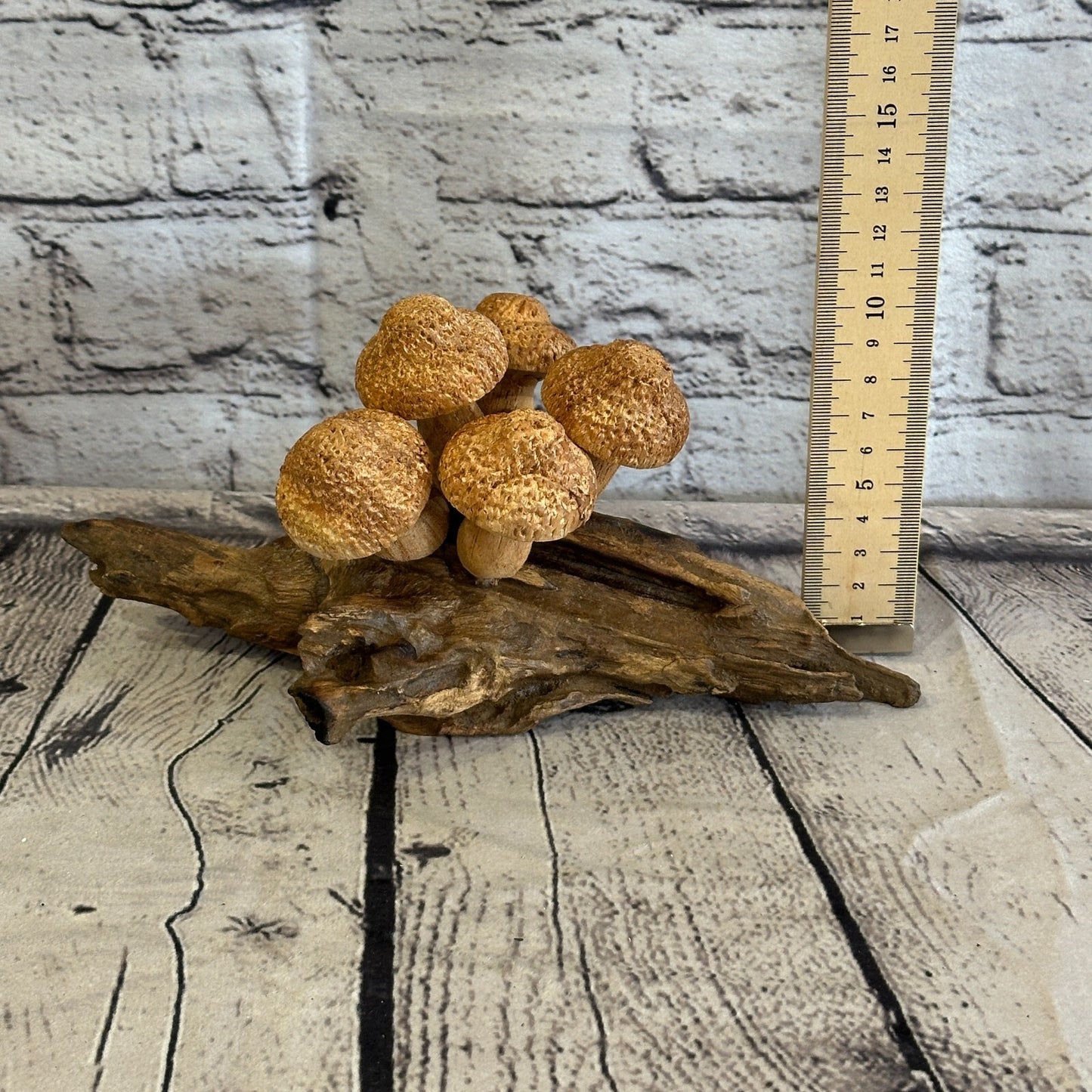 Five Dimple Mushrooms Parasite Ornament Natural Carving Fairtrade Wooden