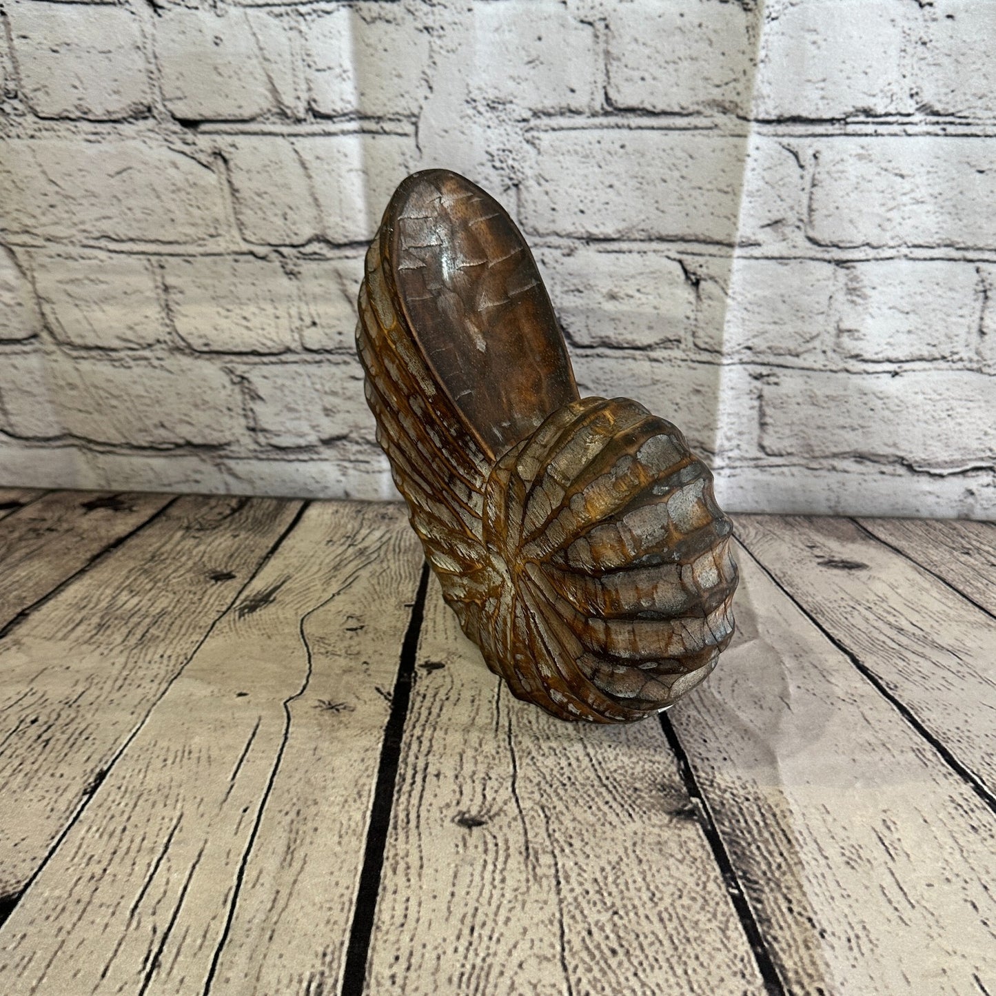 25cm Brown Polish Nautilus Shell Ornament Decor Carved Light Wood Parcel Figure