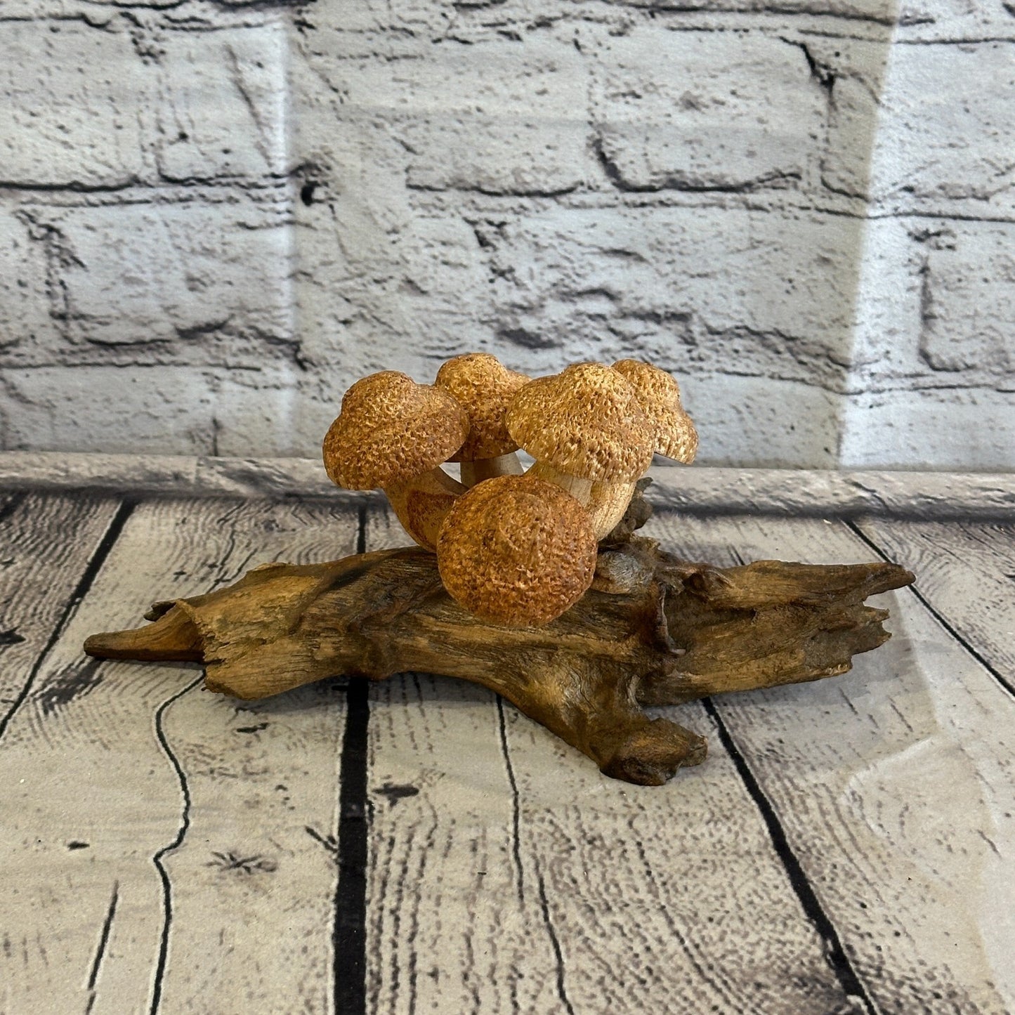 Five Dimple Mushrooms Parasite Ornament Natural Carving Fairtrade Wooden