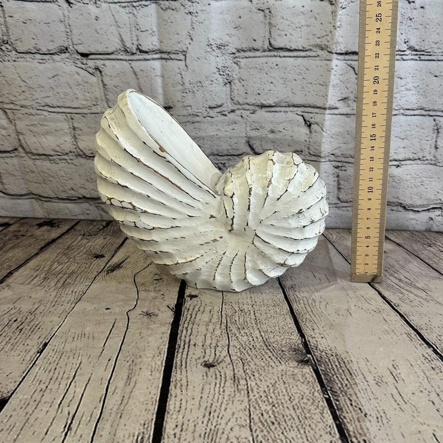 25cm White Polish Nautilus Shell Ornament Decor Carved Light Wood Parcel Figure