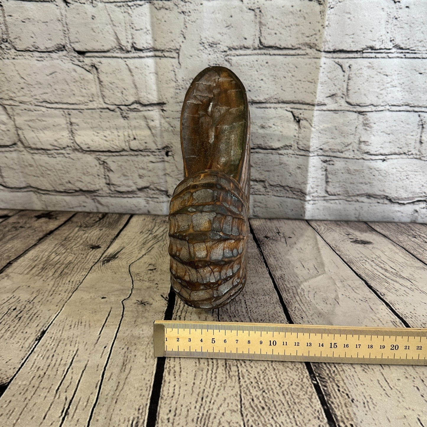 25cm Brown Polish Nautilus Shell Ornament Decor Carved Light Wood Parcel Figure