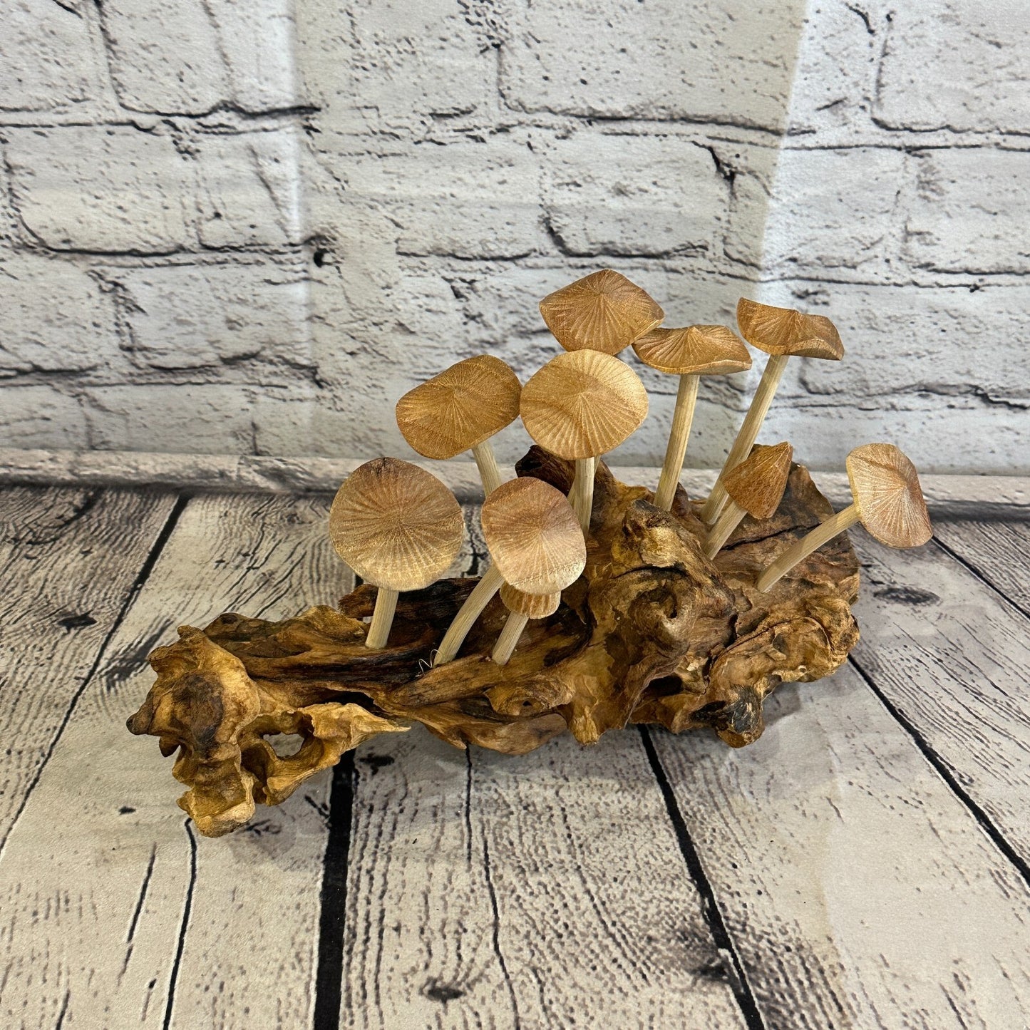 25cm Long Mushrooms Cluster Parasite Ornament Natural Carving Fairtrade Wooden