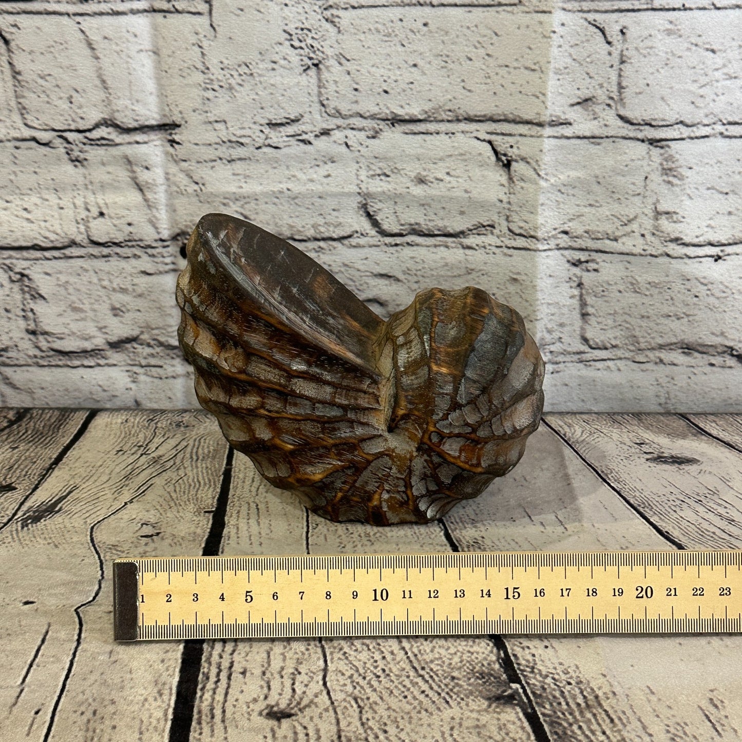15cm Brown Polish Nautilus Shell Ornament Decor Carved Light Wood Parcel Figure