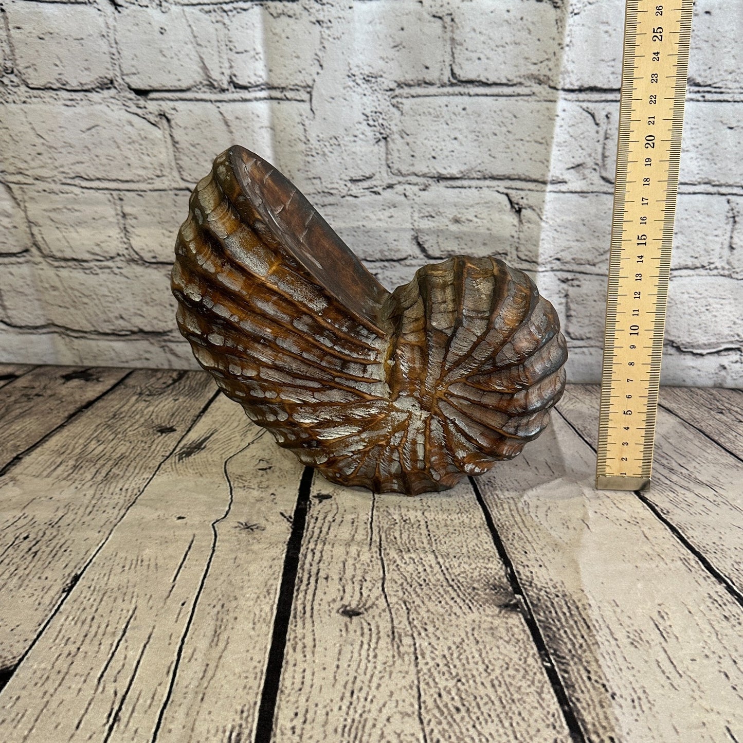 25cm Brown Polish Nautilus Shell Ornament Decor Carved Light Wood Parcel Figure