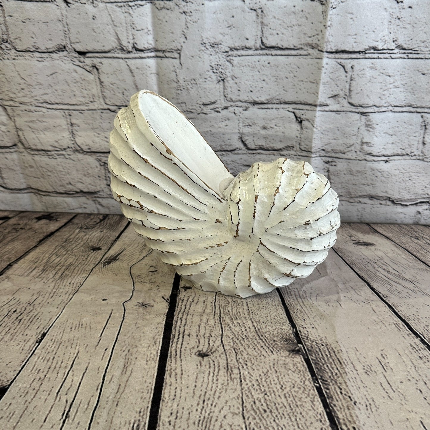 25cm White Polish Nautilus Shell Ornament Decor Carved Light Wood Parcel Figure