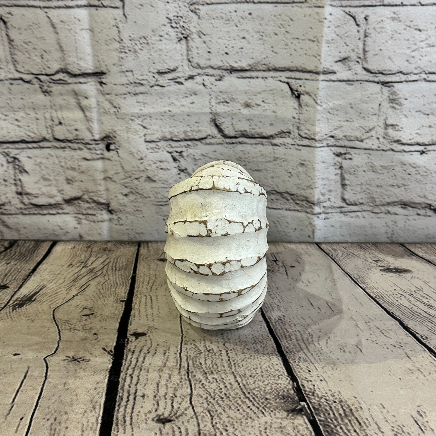 15cm White Polish Nautilus Shell Ornament Decor Carved Light Wood Parcel Figure