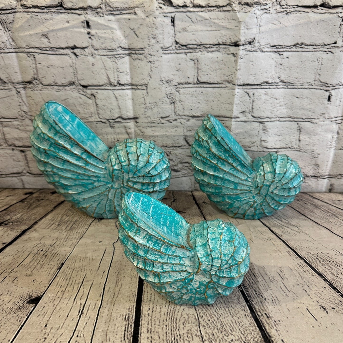 25cm Green Polish Nautilus Shell Ornament Decor Carved Light Wood Parcel Figure