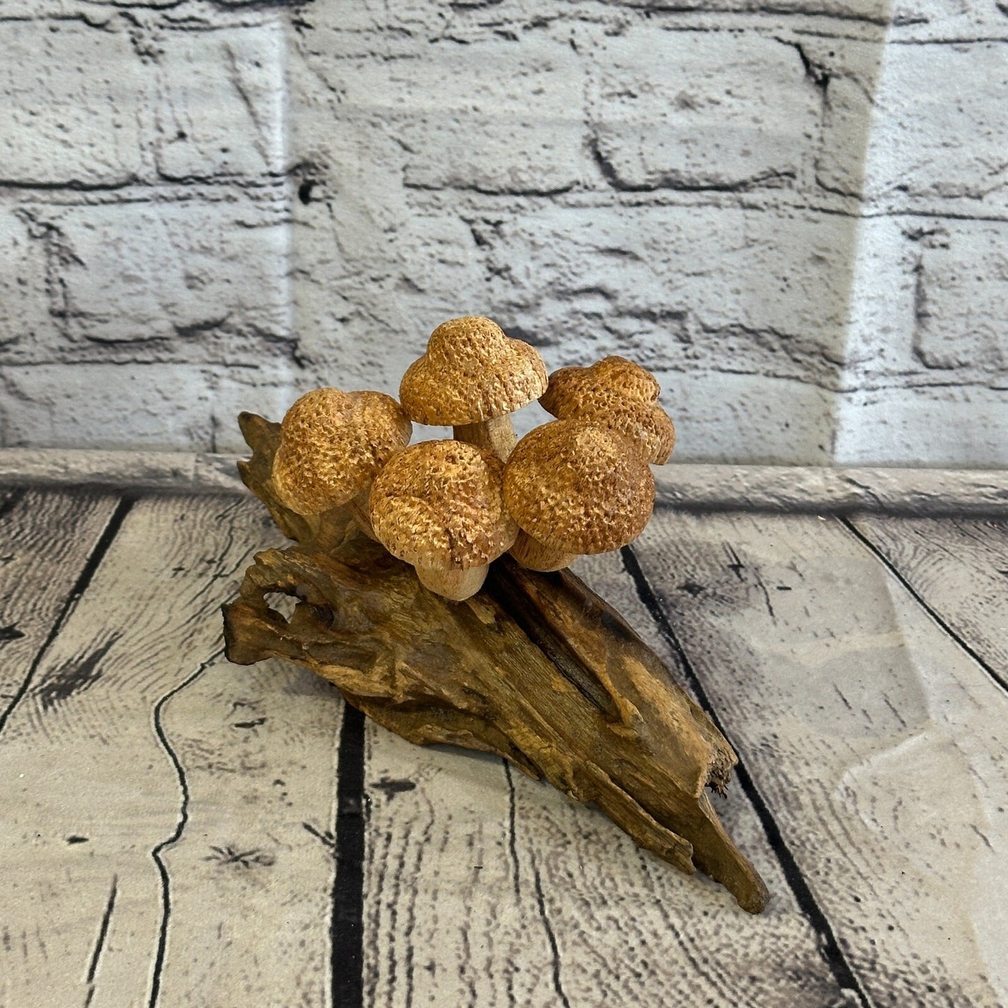 Five Dimple Mushrooms Parasite Ornament Natural Carving Fairtrade Wooden
