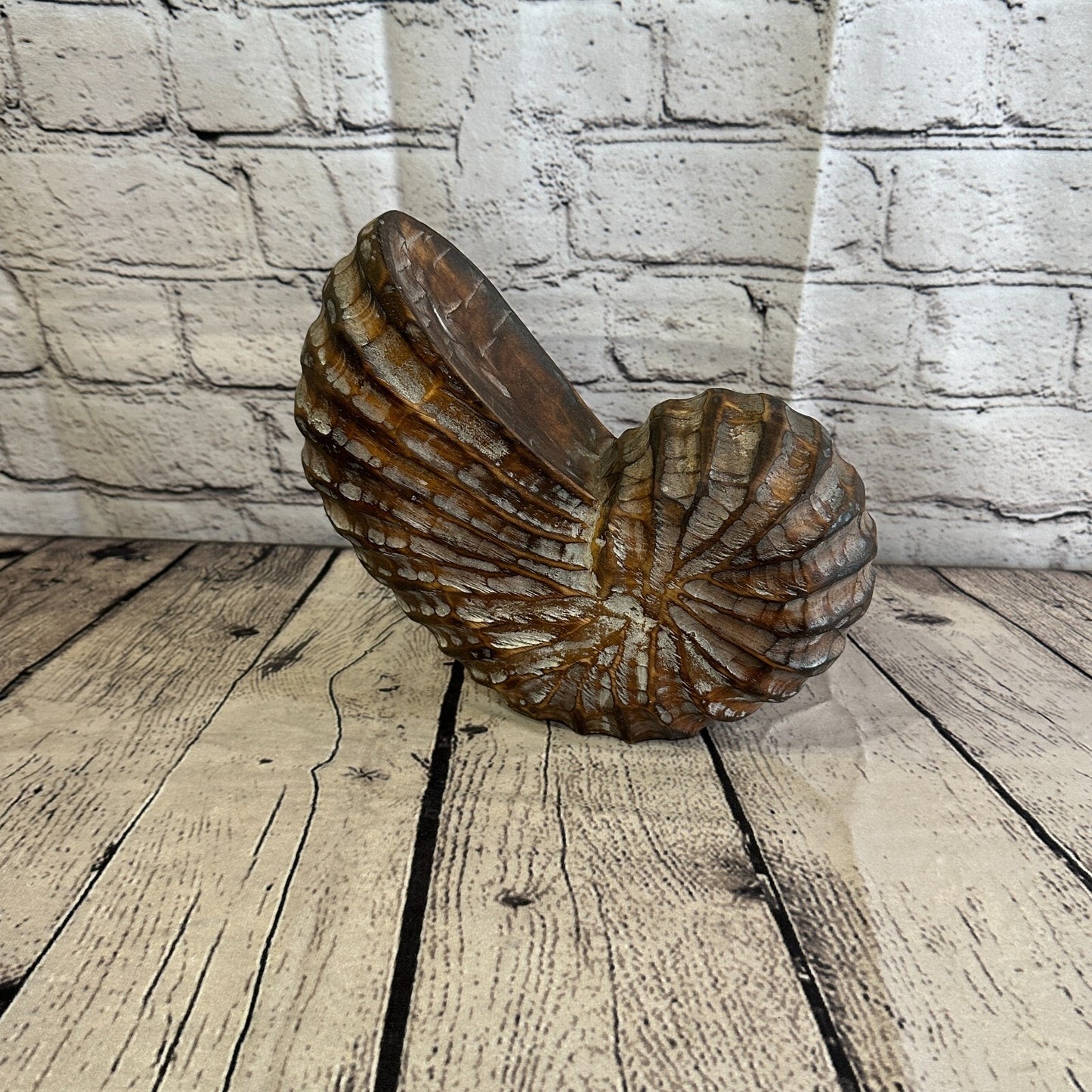 25cm Brown Polish Nautilus Shell Ornament Decor Carved Light Wood Parcel Figure