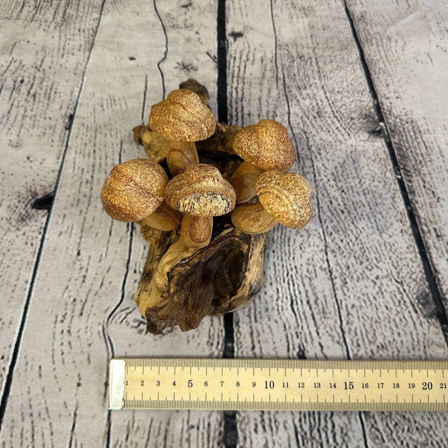 Dimple Mushrooms Wall Art Mushroom Parasite Wood Ornament Natural Carving Wooden