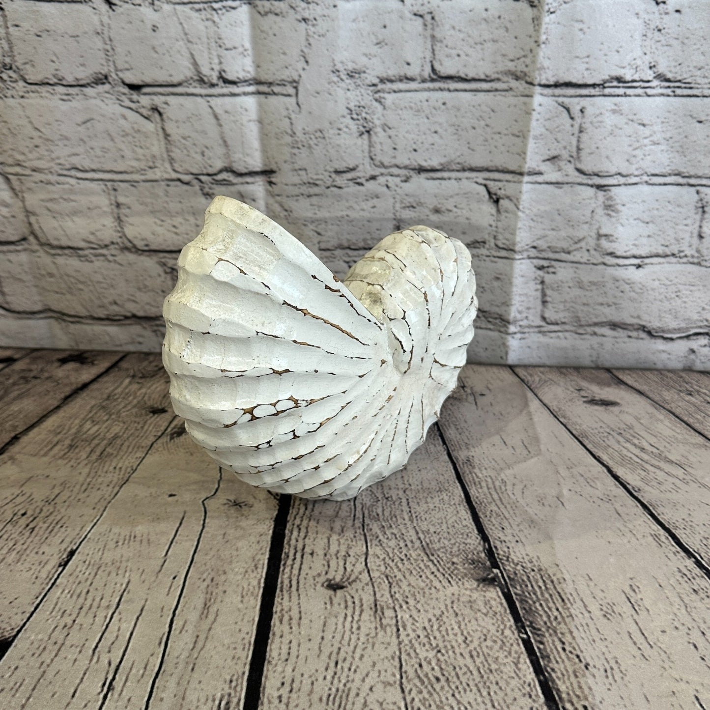 25cm White Polish Nautilus Shell Ornament Decor Carved Light Wood Parcel Figure