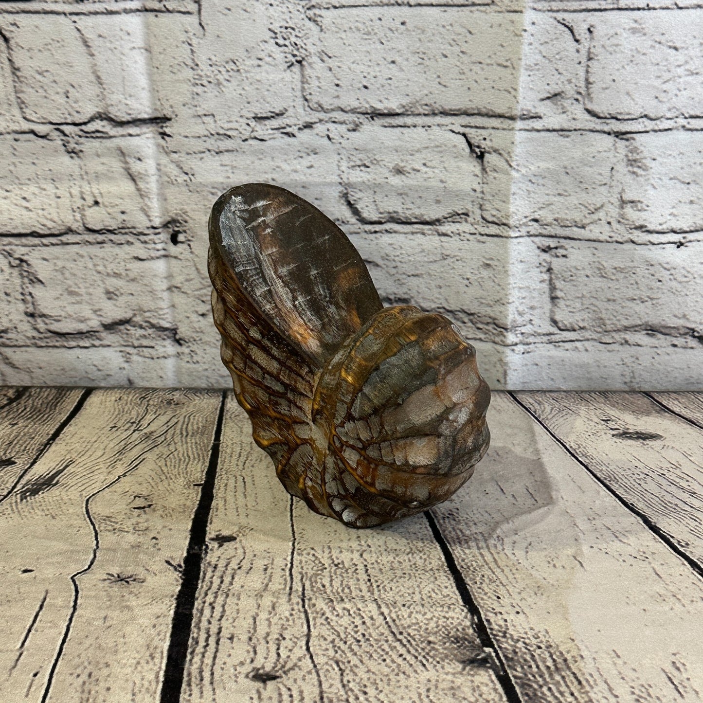 15cm Brown Polish Nautilus Shell Ornament Decor Carved Light Wood Parcel Figure