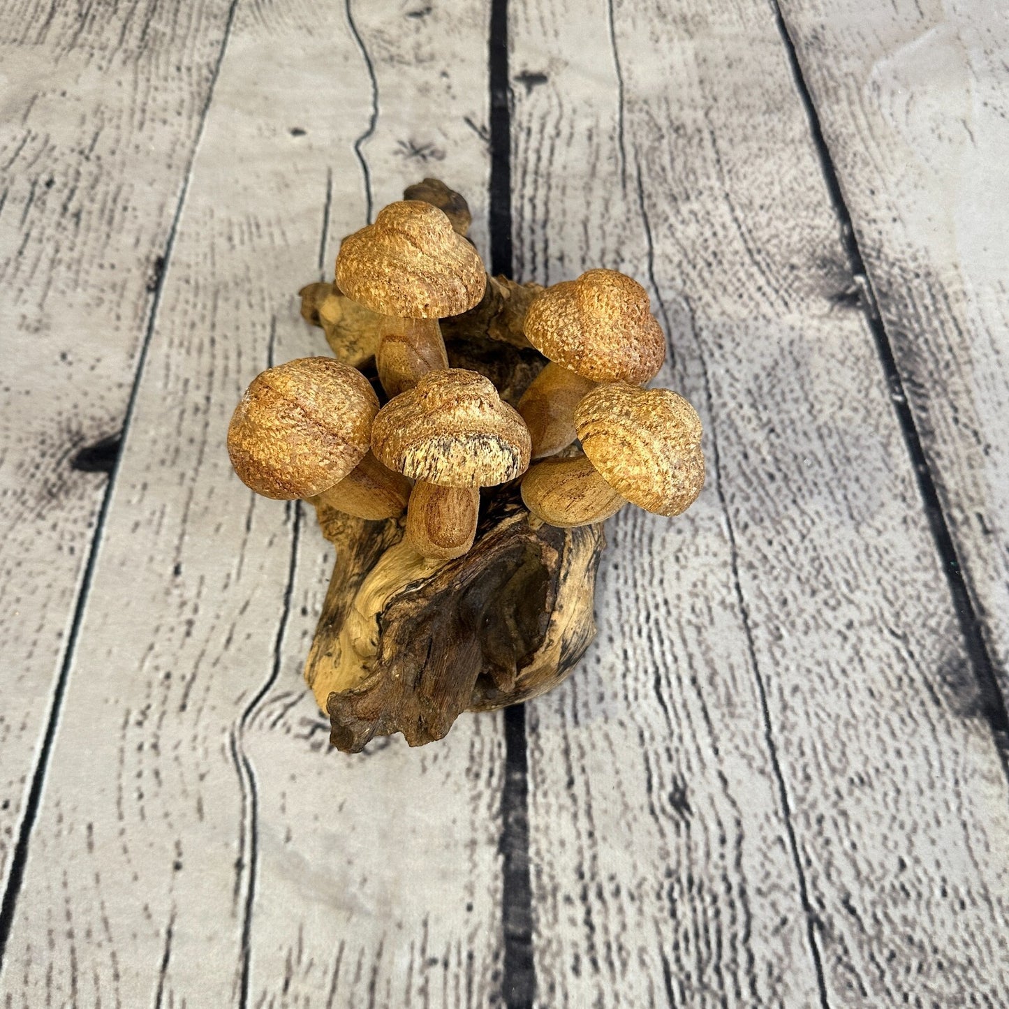 Dimple Mushrooms Wall Art Mushroom Parasite Wood Ornament Natural Carving Wooden