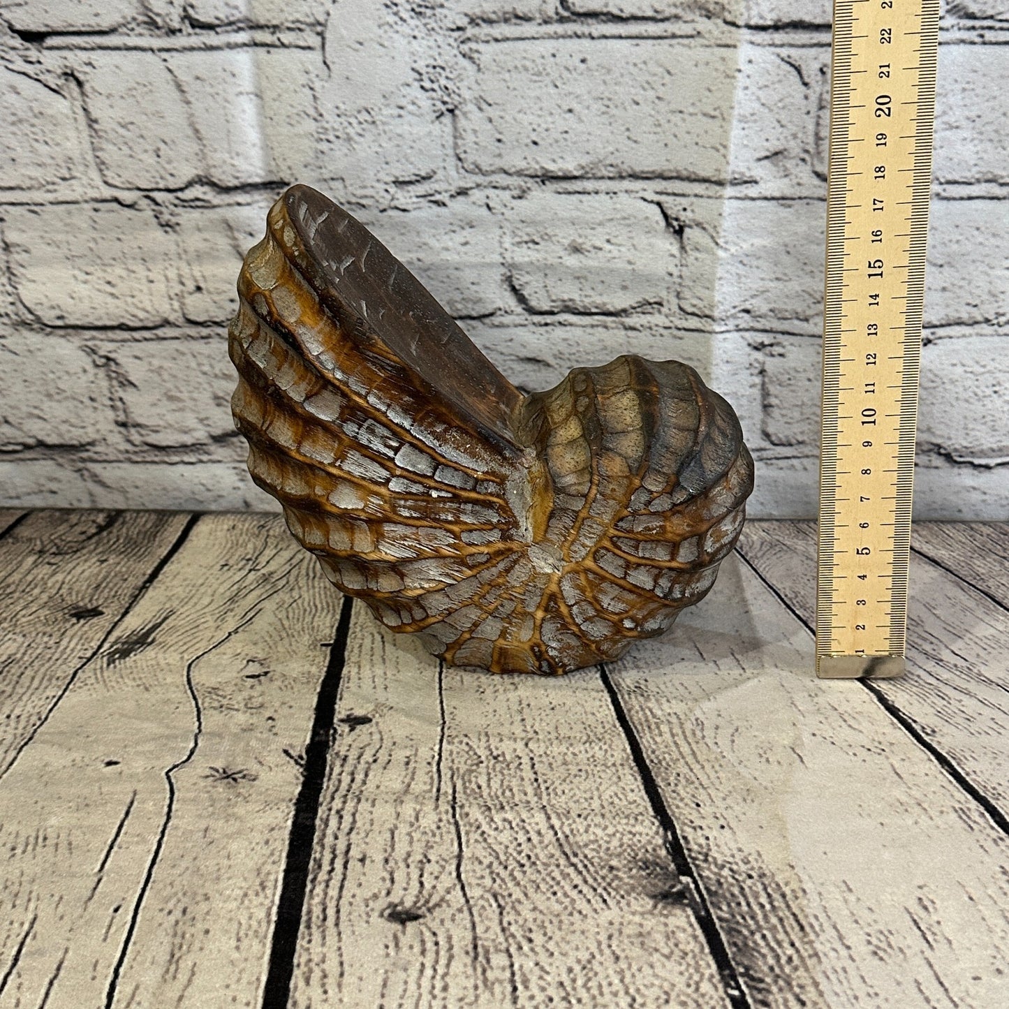 18cm Brown Polish Nautilus Shell Ornament Decor Carved Light Wood Parcel Figure