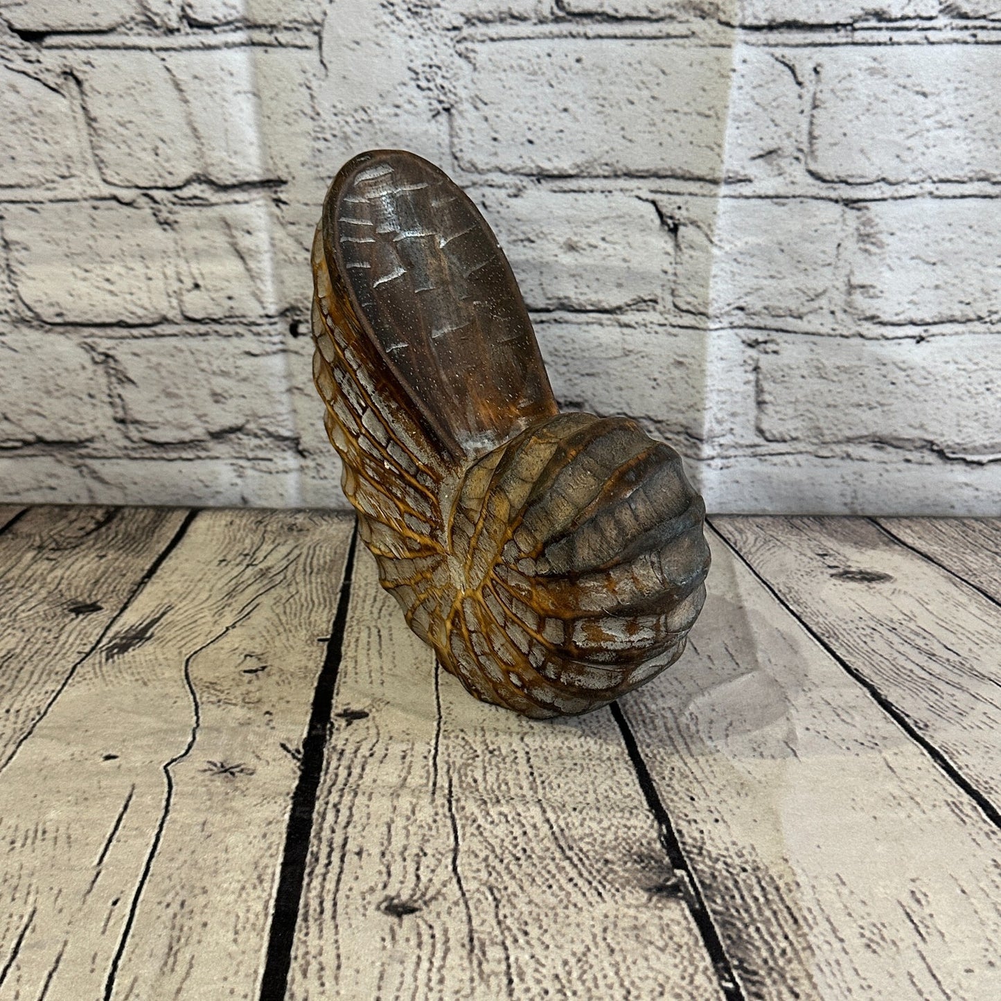 18cm Brown Polish Nautilus Shell Ornament Decor Carved Light Wood Parcel Figure