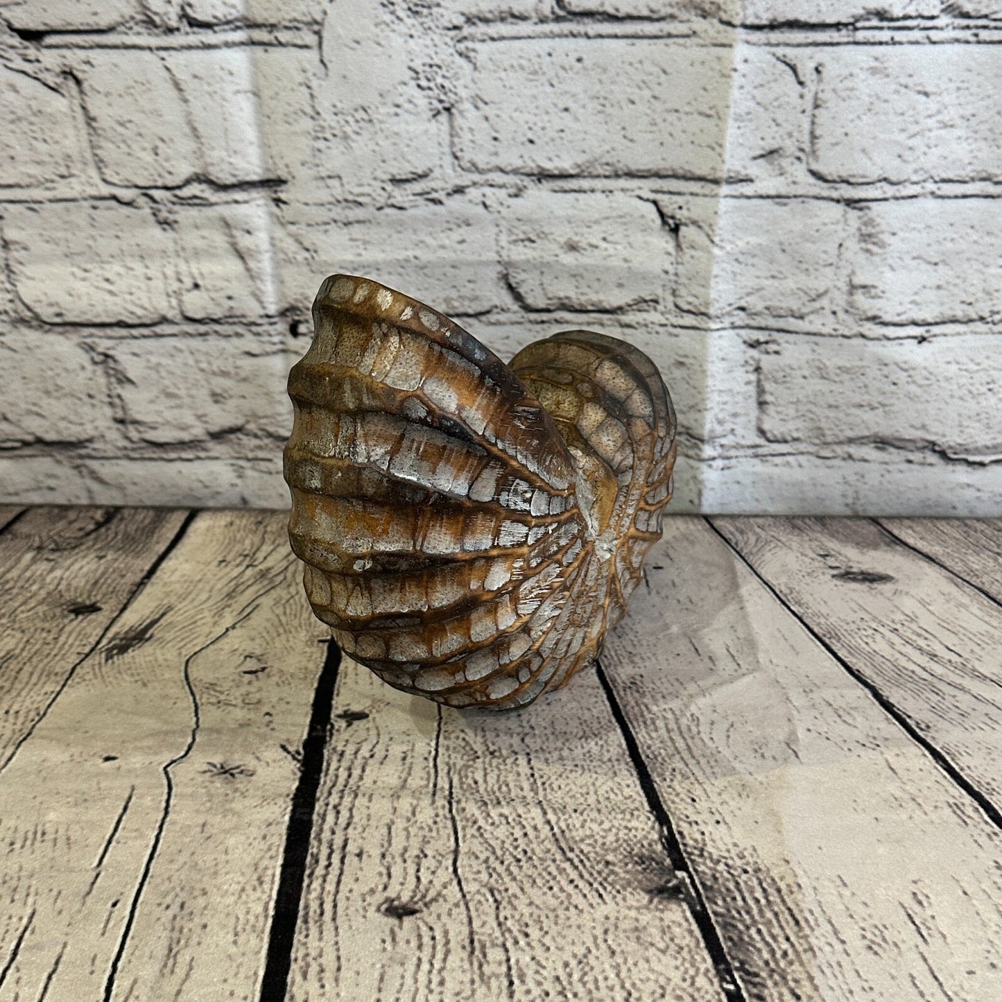 18cm Brown Polish Nautilus Shell Ornament Decor Carved Light Wood Parcel Figure