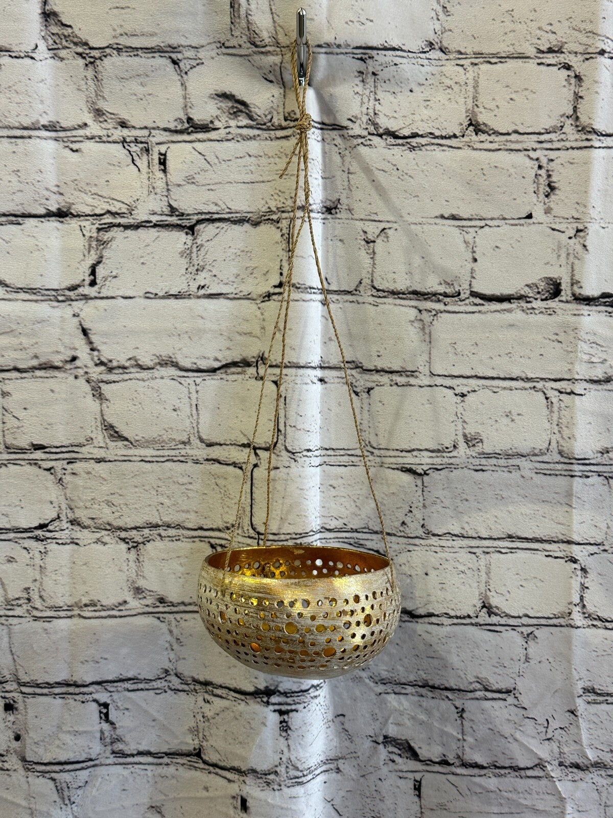 White Coconut Shell Hanging Basket Orchid Planter Balcony Decorative Vase