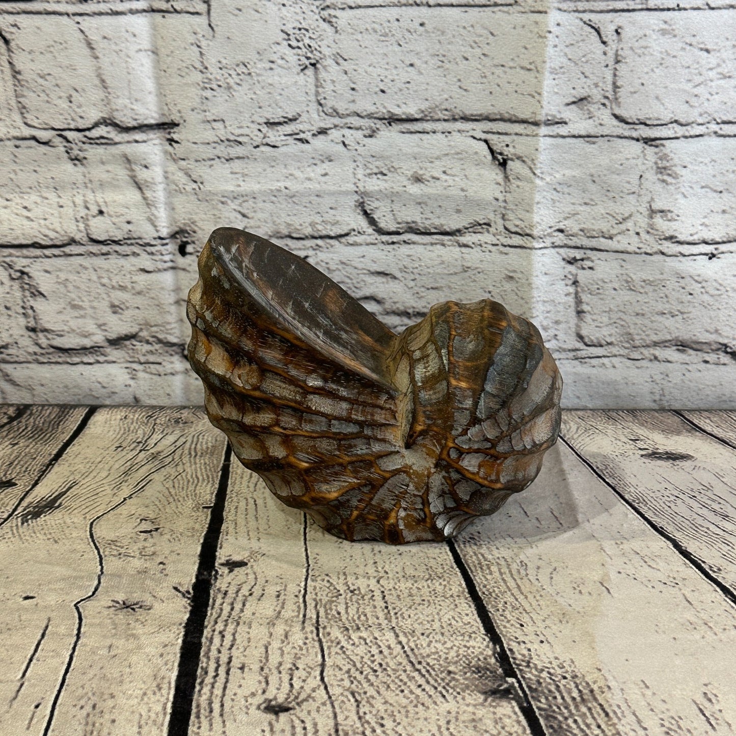 15cm Brown Polish Nautilus Shell Ornament Decor Carved Light Wood Parcel Figure