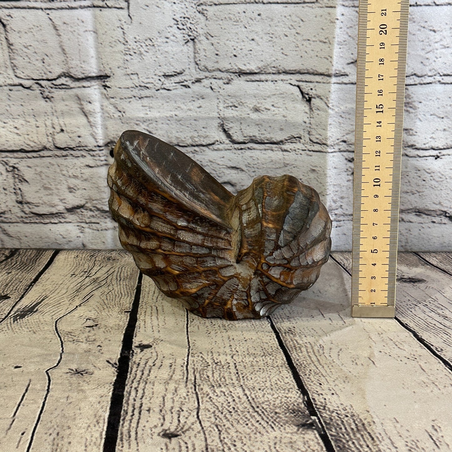 15cm Brown Polish Nautilus Shell Ornament Decor Carved Light Wood Parcel Figure