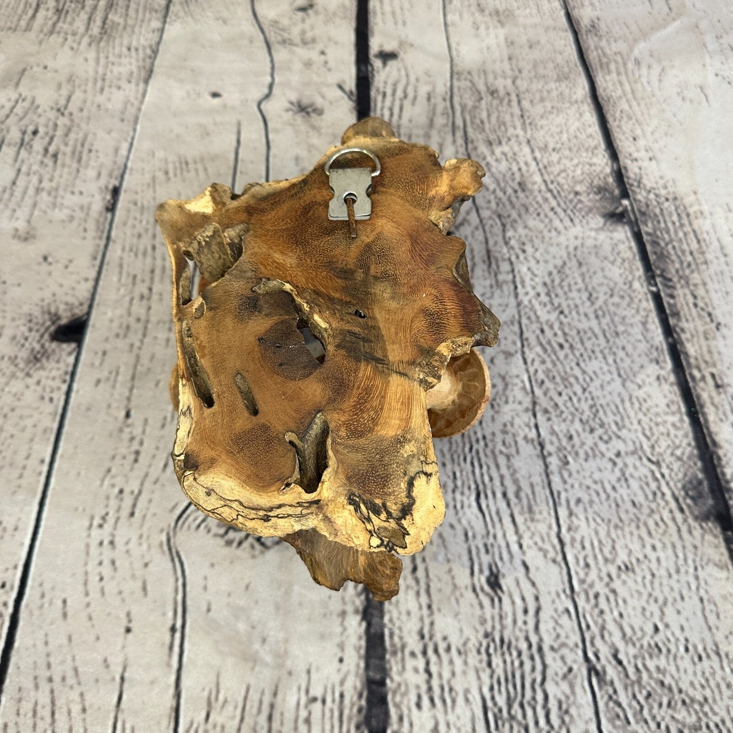 Dimple Mushrooms Wall Art Mushroom Parasite Wood Ornament Natural Carving Wooden