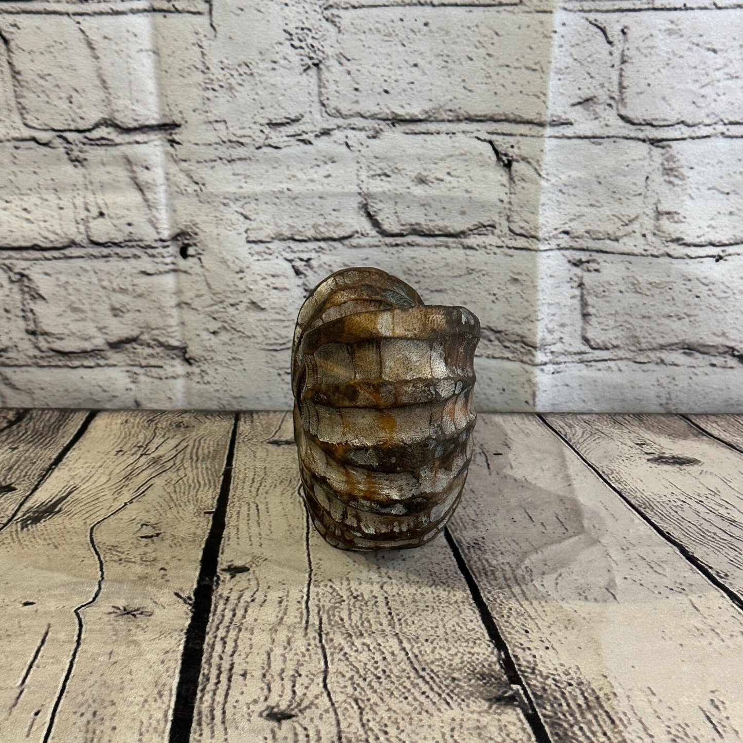 15cm Brown Polish Nautilus Shell Ornament Decor Carved Light Wood Parcel Figure