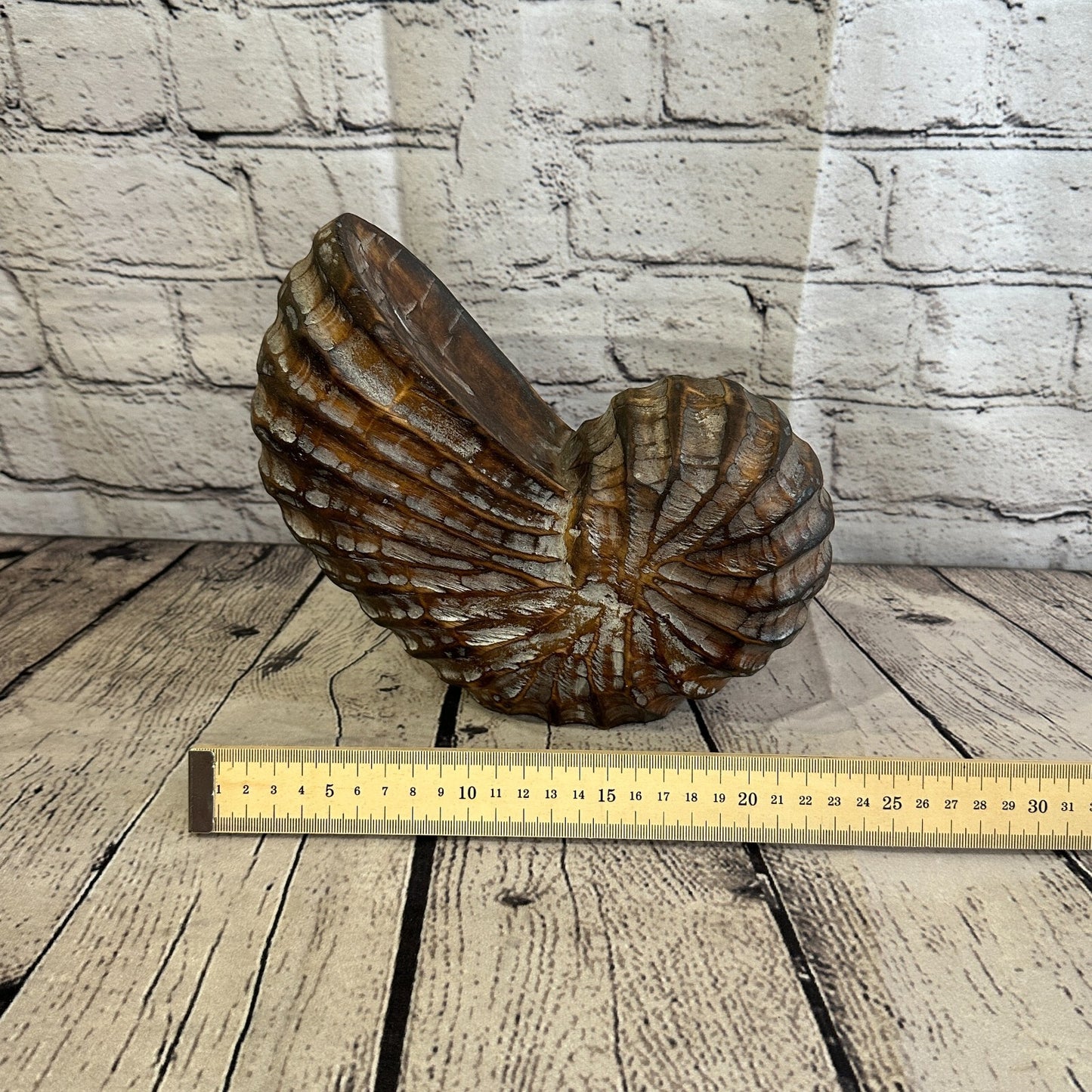 25cm Brown Polish Nautilus Shell Ornament Decor Carved Light Wood Parcel Figure