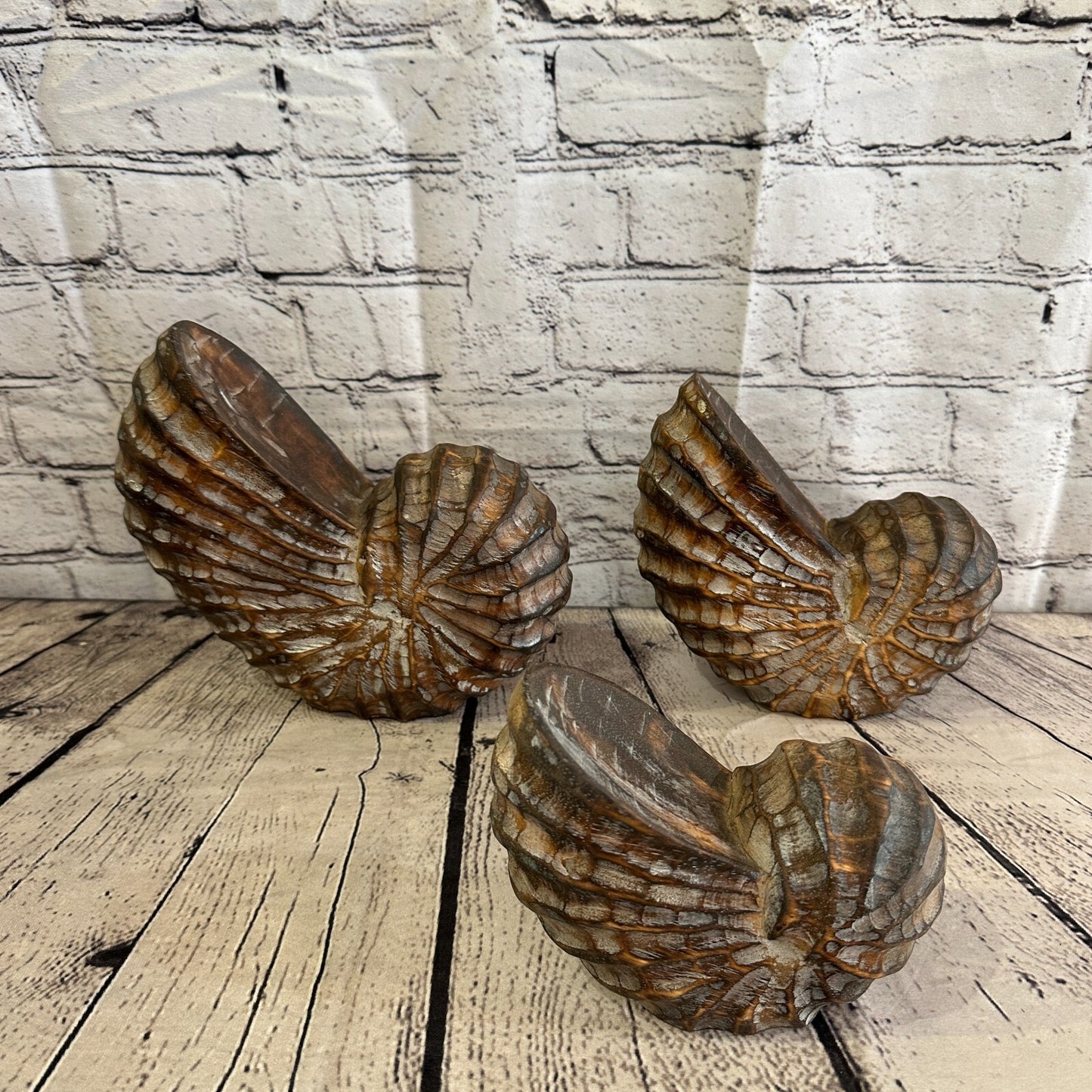 25cm Brown Polish Nautilus Shell Ornament Decor Carved Light Wood Parcel Figure