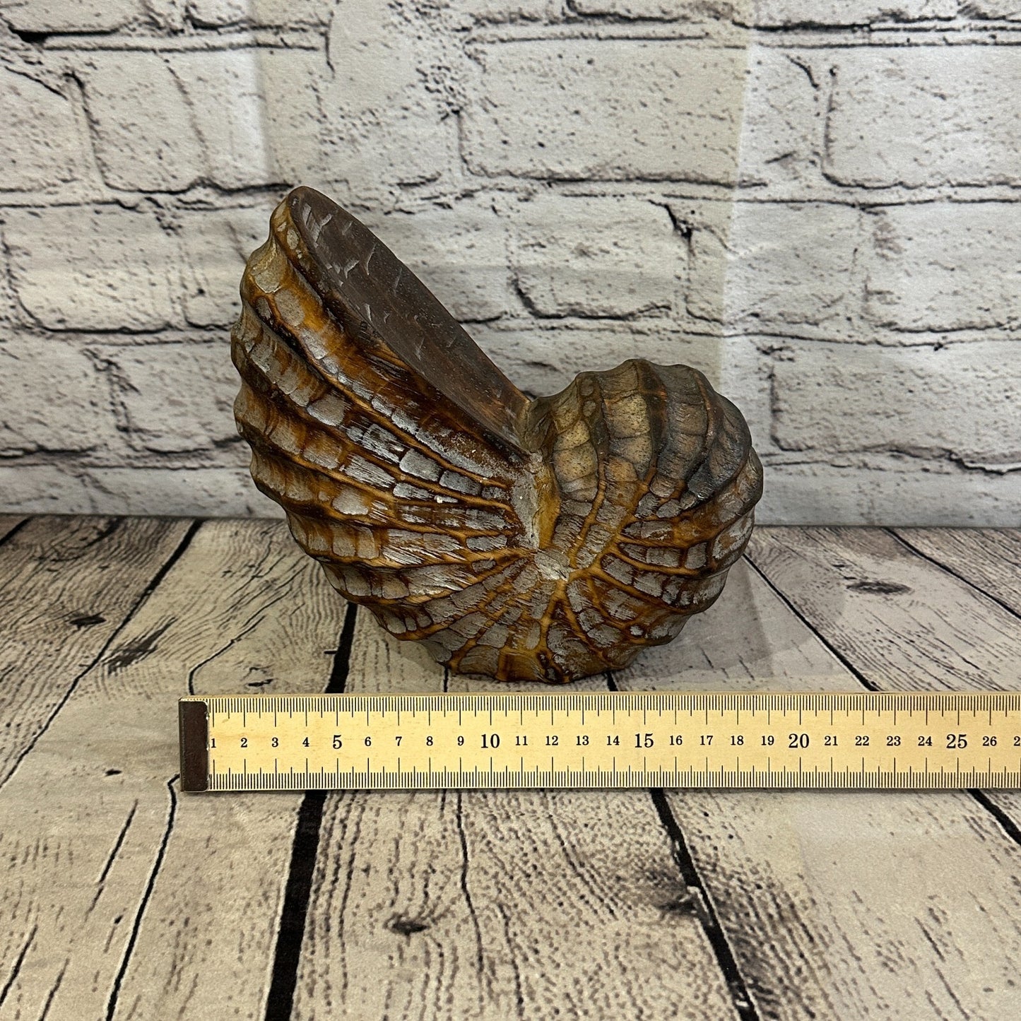 18cm Brown Polish Nautilus Shell Ornament Decor Carved Light Wood Parcel Figure