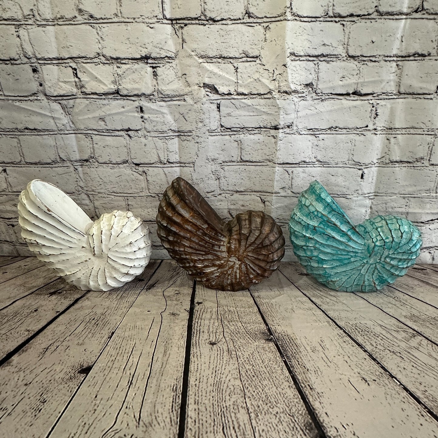 15cm White Polish Nautilus Shell Ornament Decor Carved Light Wood Parcel Figure