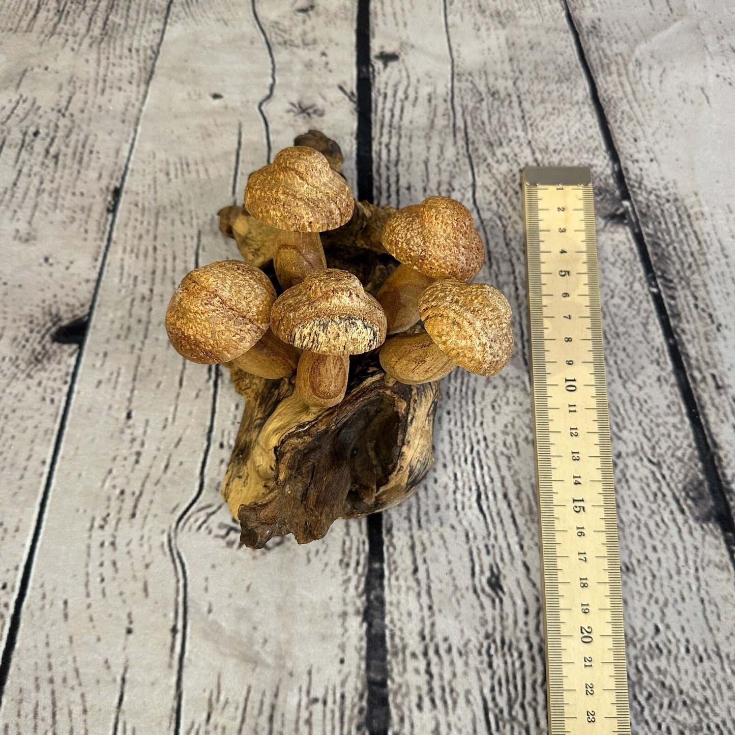 Dimple Mushrooms Wall Art Mushroom Parasite Wood Ornament Natural Carving Wooden