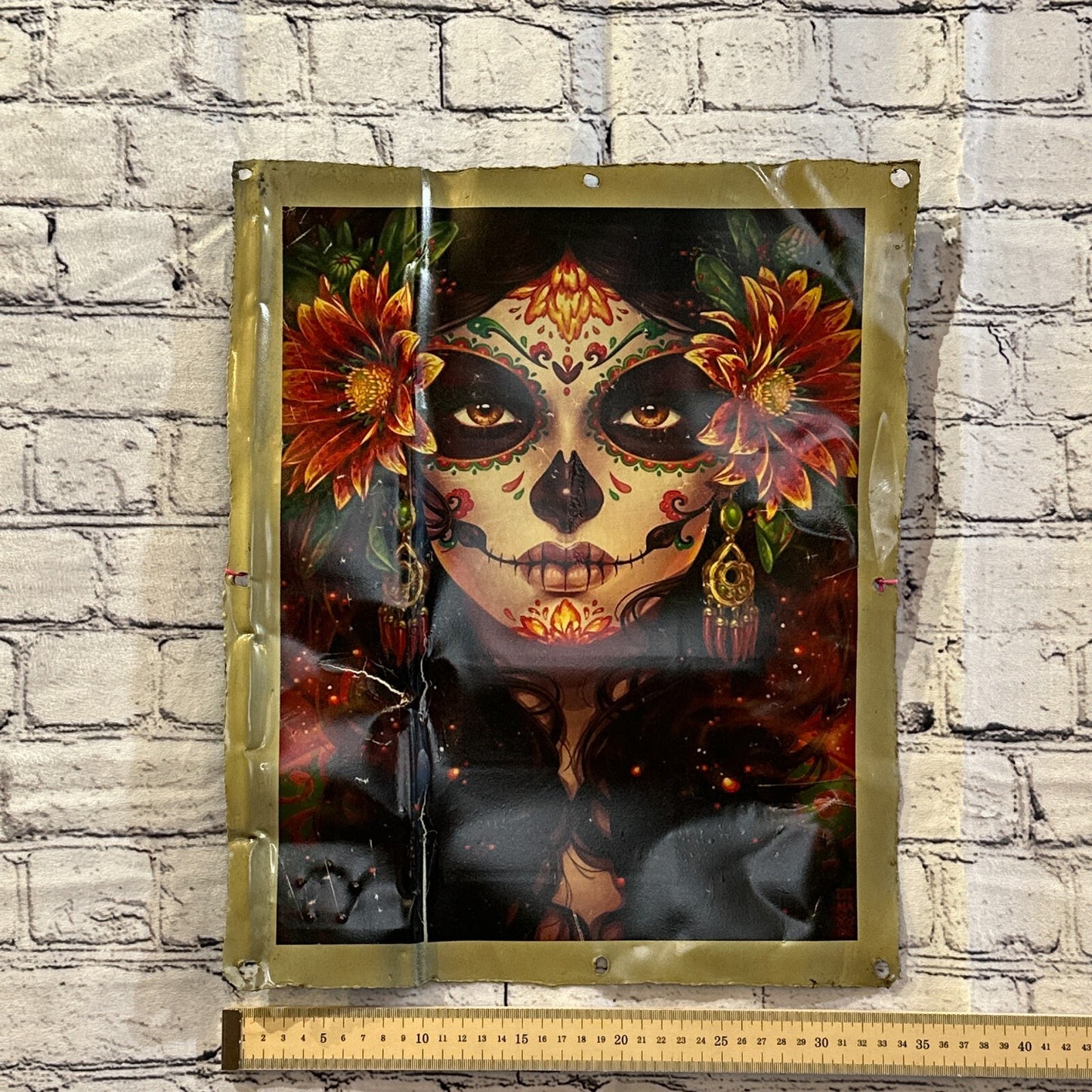 Day Of The Dead Lady Art Advert Wall Plaque 42cm x 36cm Vintage Retro Tin Sign