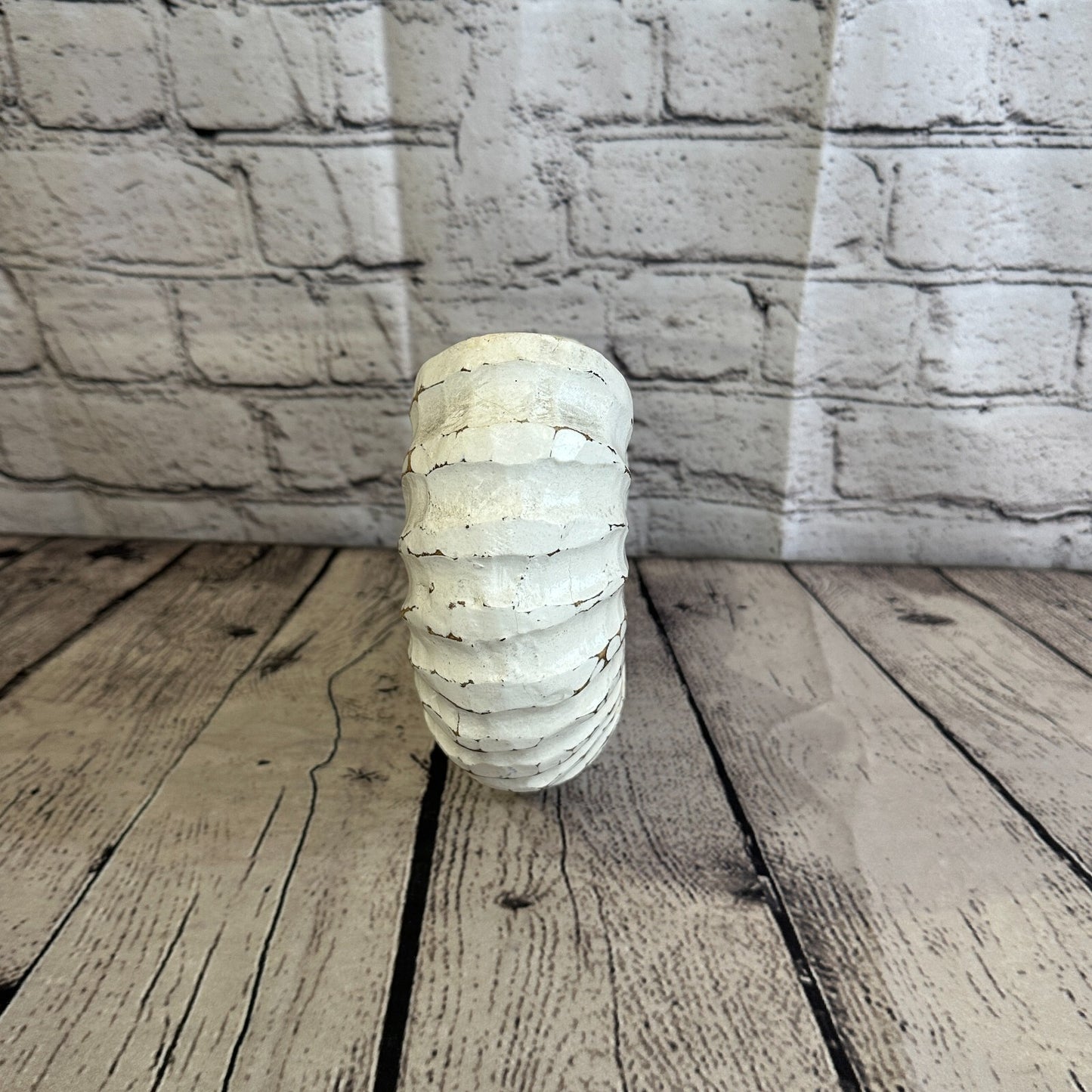 25cm White Polish Nautilus Shell Ornament Decor Carved Light Wood Parcel Figure