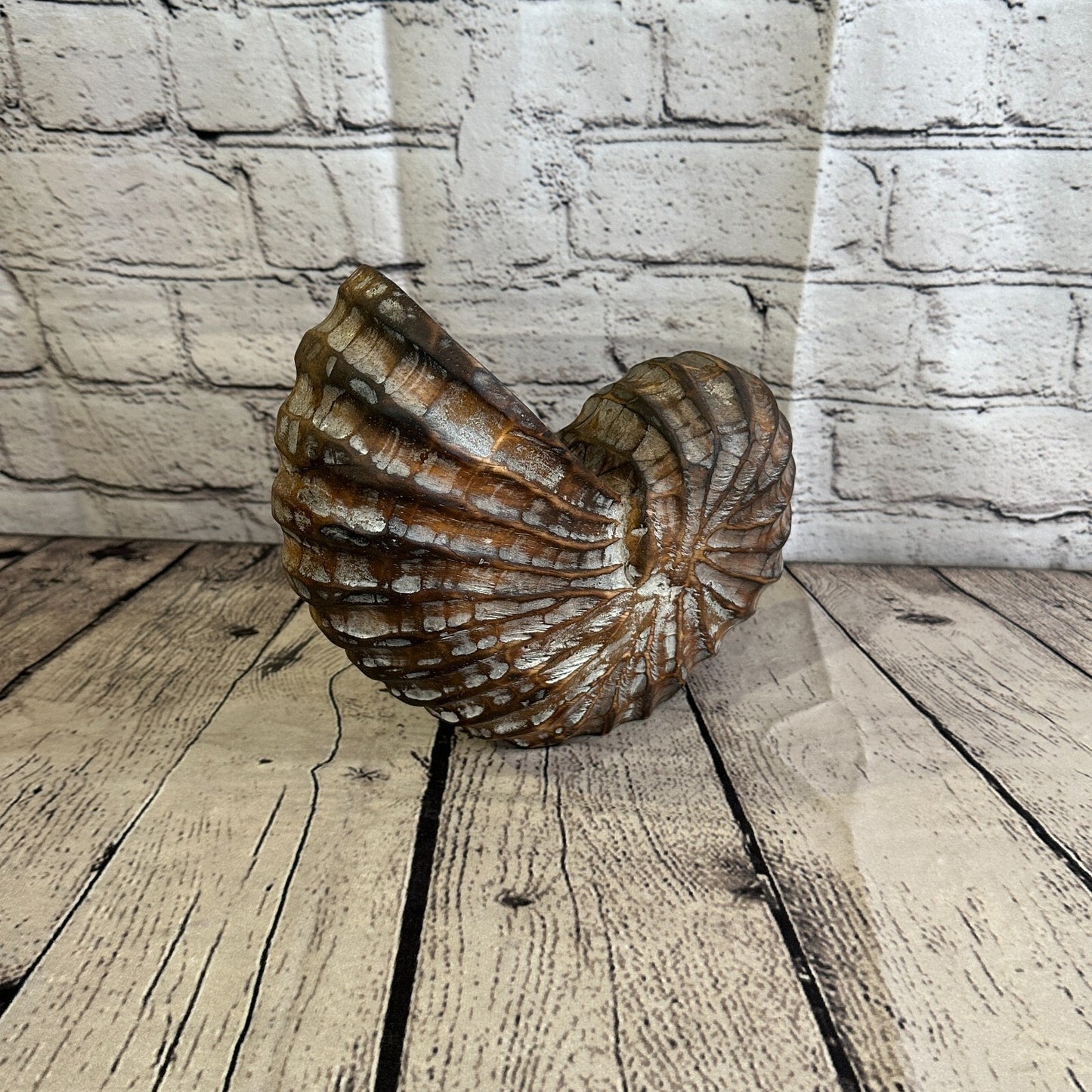 25cm Brown Polish Nautilus Shell Ornament Decor Carved Light Wood Parcel Figure