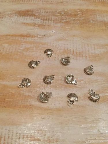 Small Clam Shell Charms x 10 A Pack