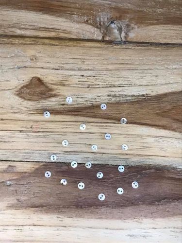 20 Tiny White Mother of Pearl Buttons