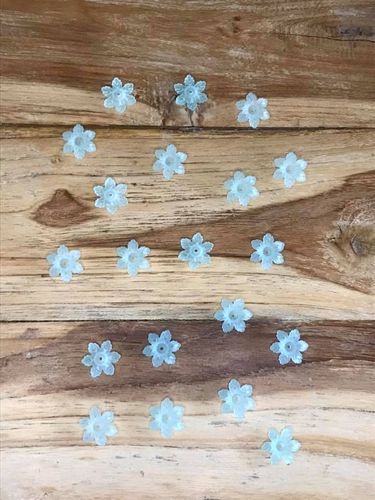 10 Eau de nil,small six petal lucite beads