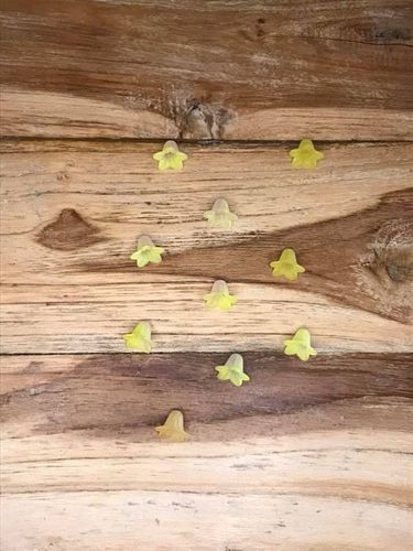 10 Yellow Bell Shaped Lucite Flower Beads