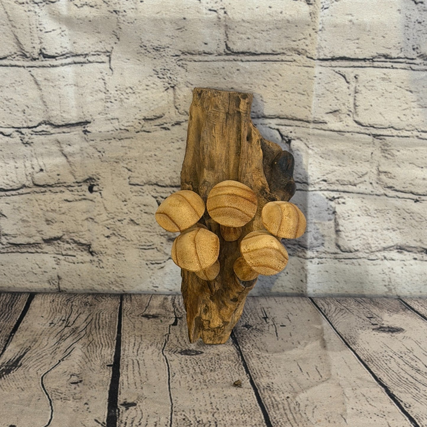 20cm Button Top Wall Art Mushroom Parasite Wood Ornament Natural Carving Wooden1