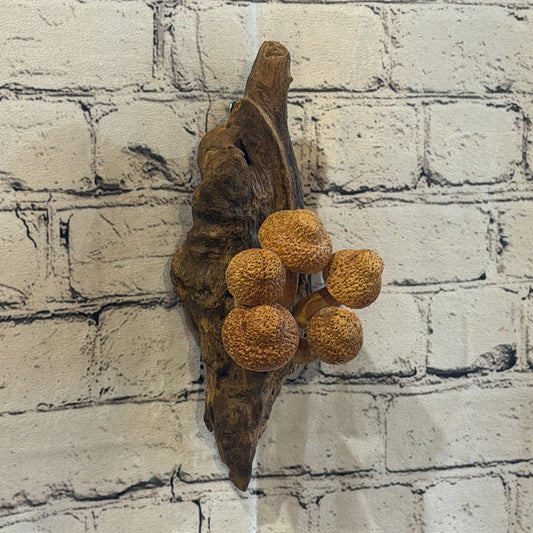 20cm Dimple Top Wall Art Mushroom Parasite Wood Ornament Natural Carving Wooden0