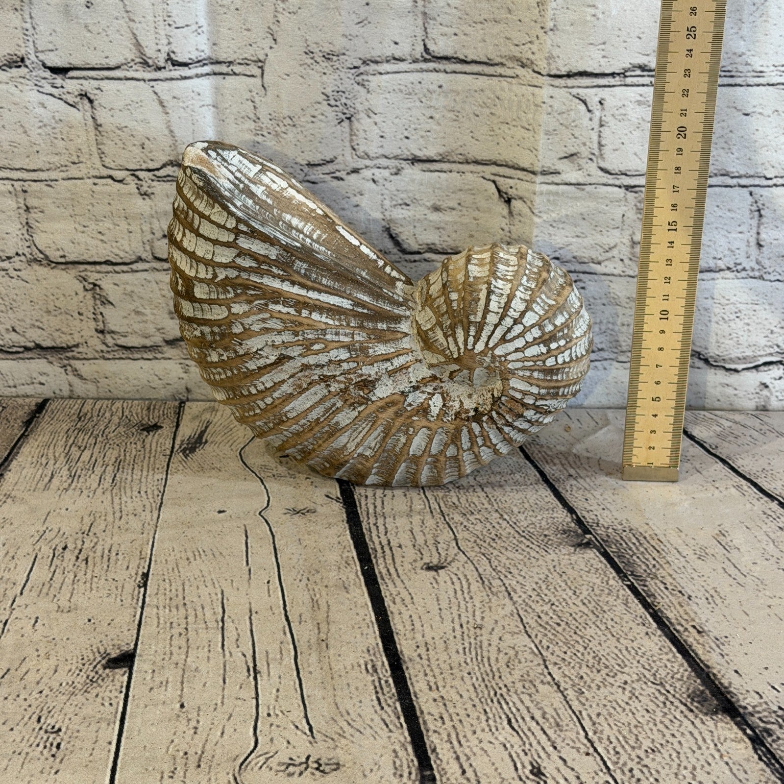 25cm Brown Shabby Pastel Nautilus Shell Ornament Decor Carved Light Wood Figure6