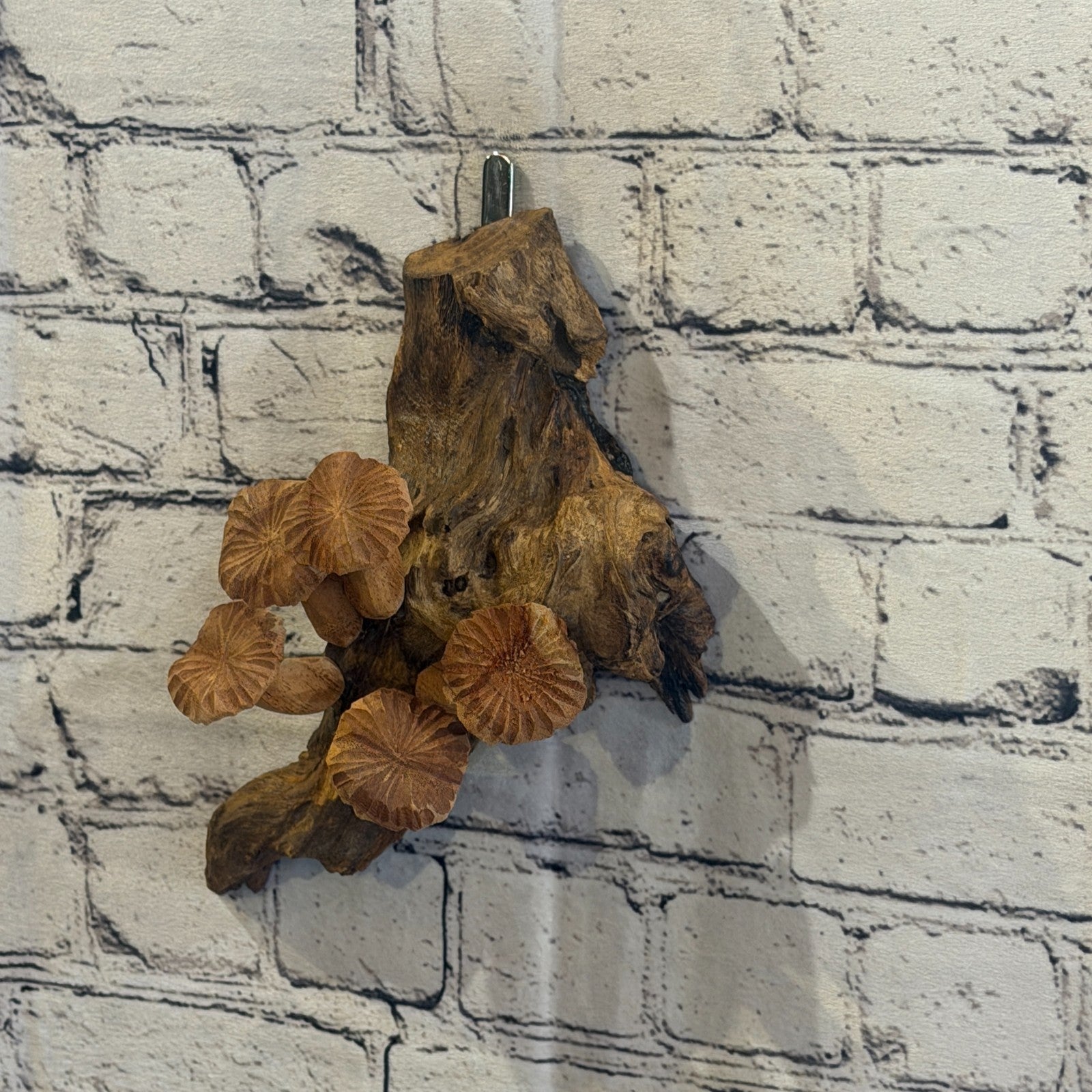 20cm Flat Top Wall Art Mushroom Parasite Wood Ornament Natural Carving Wooden2