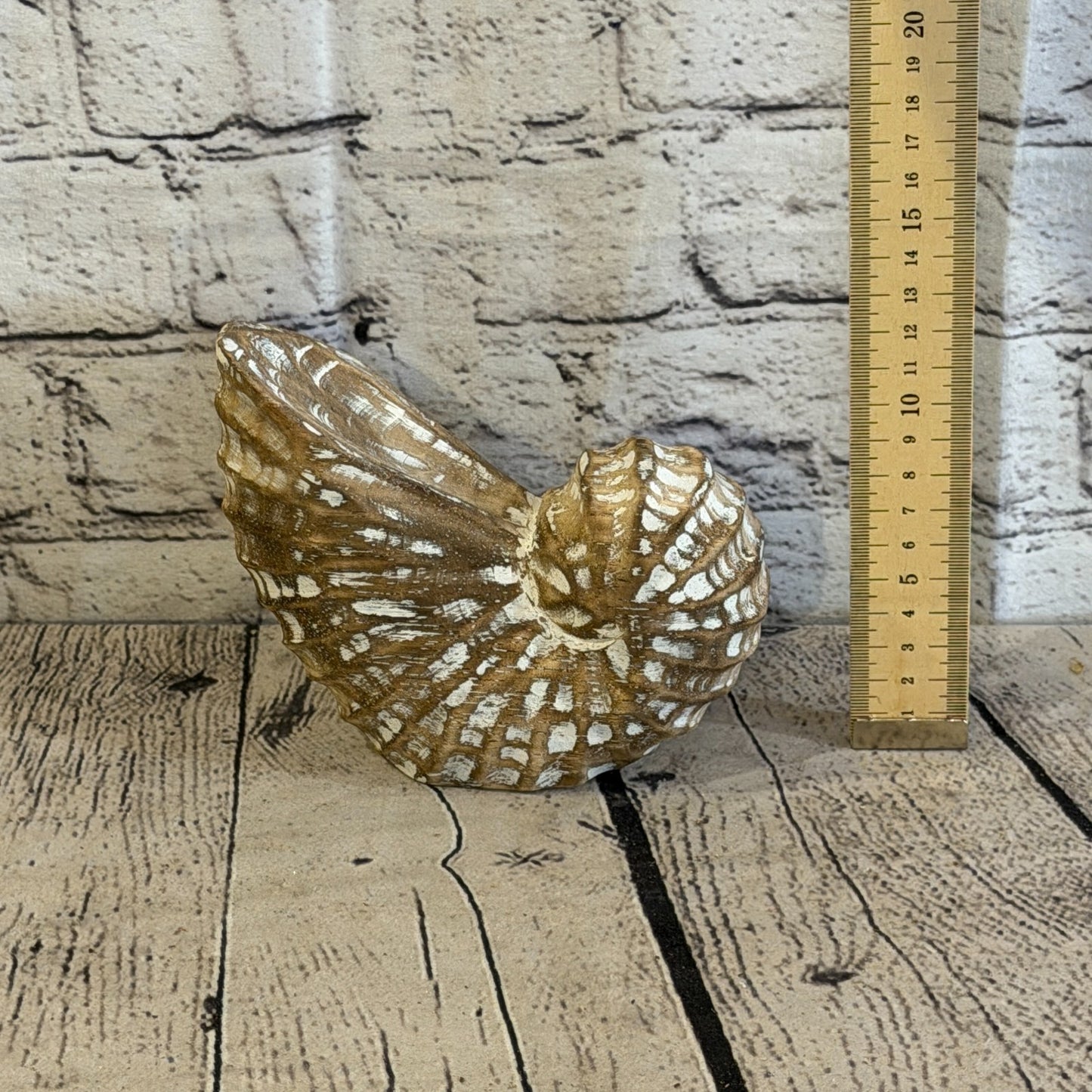 15cm Brown Shabby Pastel Nautilus Shell Ornament Decor Carved Light Wood Figure5